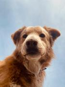 _诸葛青的个人资料头像