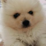三疯8u4Z头像