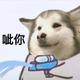 Mr铁锨头像