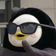 放声就去笑的个人资料头像