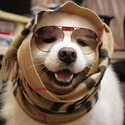 JasonHuang13354的个人资料头像