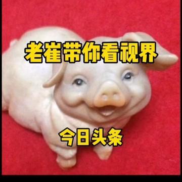 北京崔哥头像