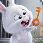 知情人的个人资料头像