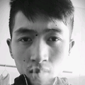 坦荡的枫叶cR头像