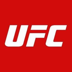 UFC综合格斗冠军赛头像