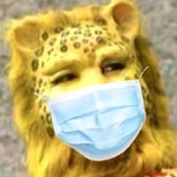 用户8045419793321头像