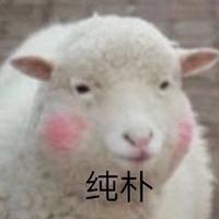 小黑06280头像