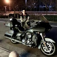 哈雷得小辉头像