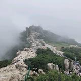 南方机电992头像