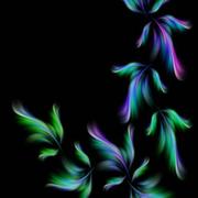 翔云溪的个人资料头像