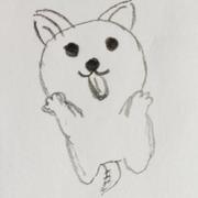 libi的个人资料头像