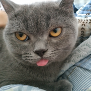 MrLrae的个人资料头像