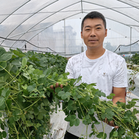 兴安辉茗种养专业合作社头像