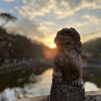 文艺安迪1p8头像