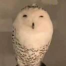 _777的个人资料头像