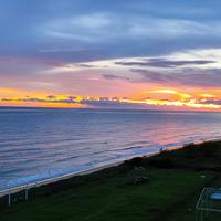 麻了麻了313头像