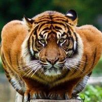 用户6910653718196头像