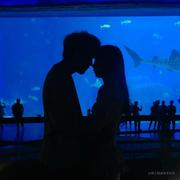 正义哥的个人资料头像