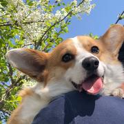 TRay的个人资料头像