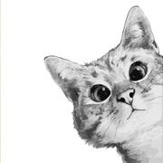 紫薇866的个人资料头像