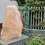 暖阳头像