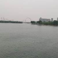 仙丹妙药45334308头像