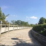 俊熙甄选头像