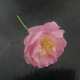 风雨三十年56头像