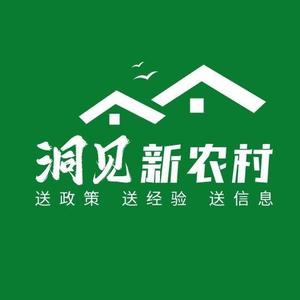 洞见新农村头像