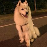 A丰晓军头像