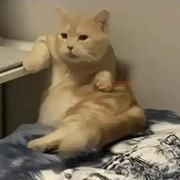 略略略啦的个人资料头像
