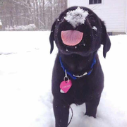 Virgo_Man的个人资料头像