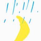 盗草的人的个人资料头像