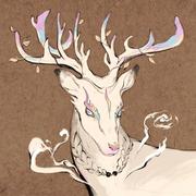 Wind322的个人资料头像