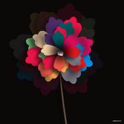 HiGreen的个人资料头像