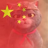 匆匆那些年302头像