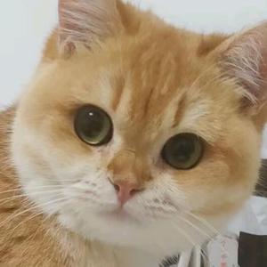 清清在此w头像