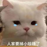 快快显灵xxx头像