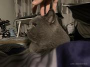 丶吴闷骚的个人资料头像