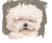 ZED的个人资料头像