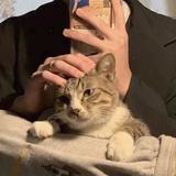 鬼子进村逮花姑娘头像