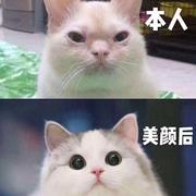 条条咸鱼约拍后期的个人资料头像