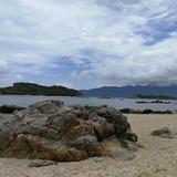 温柔地生活头像