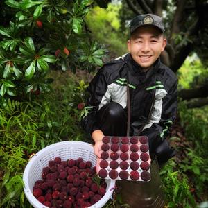 小桥流水人家虞姚头像