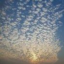 myth不想说话的个人资料头像