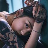 奇妙熊猫N1头像