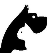 Jeazer的个人资料头像