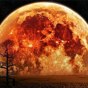 爱音乐五常6y0头像