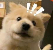 当世界还是小时候的个人资料头像