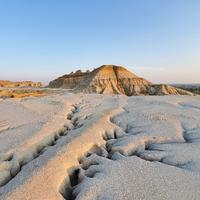 哔哔大哔哔头像